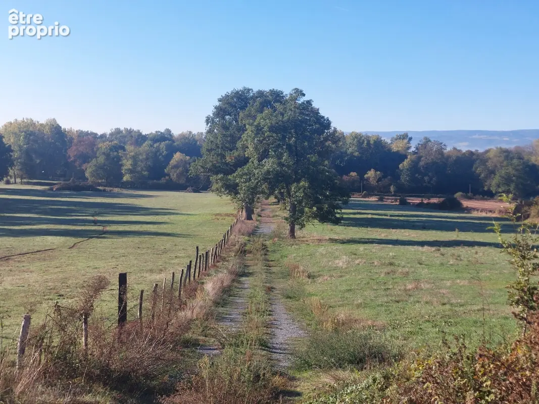A VENDRE Demeure de charme Pommiers En Forez 435 m2 - photo 5
