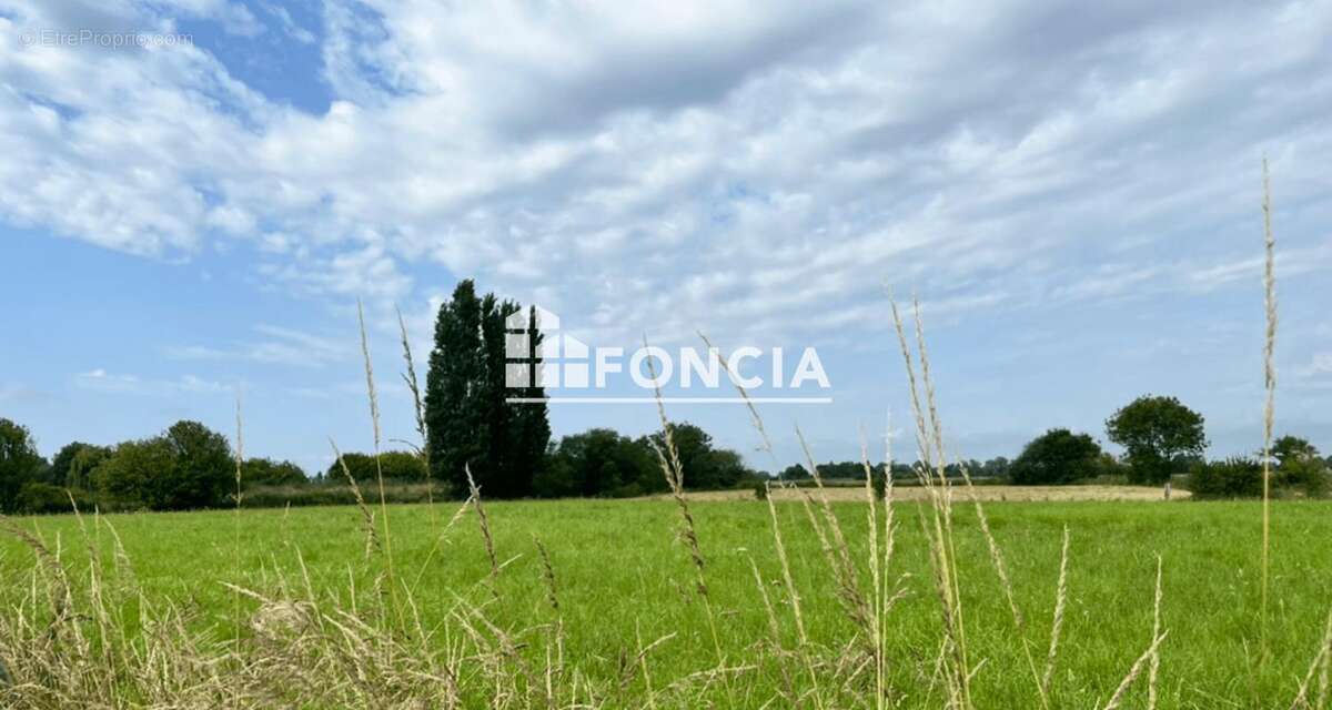 Terrain à LE VIVIER-SUR-MER