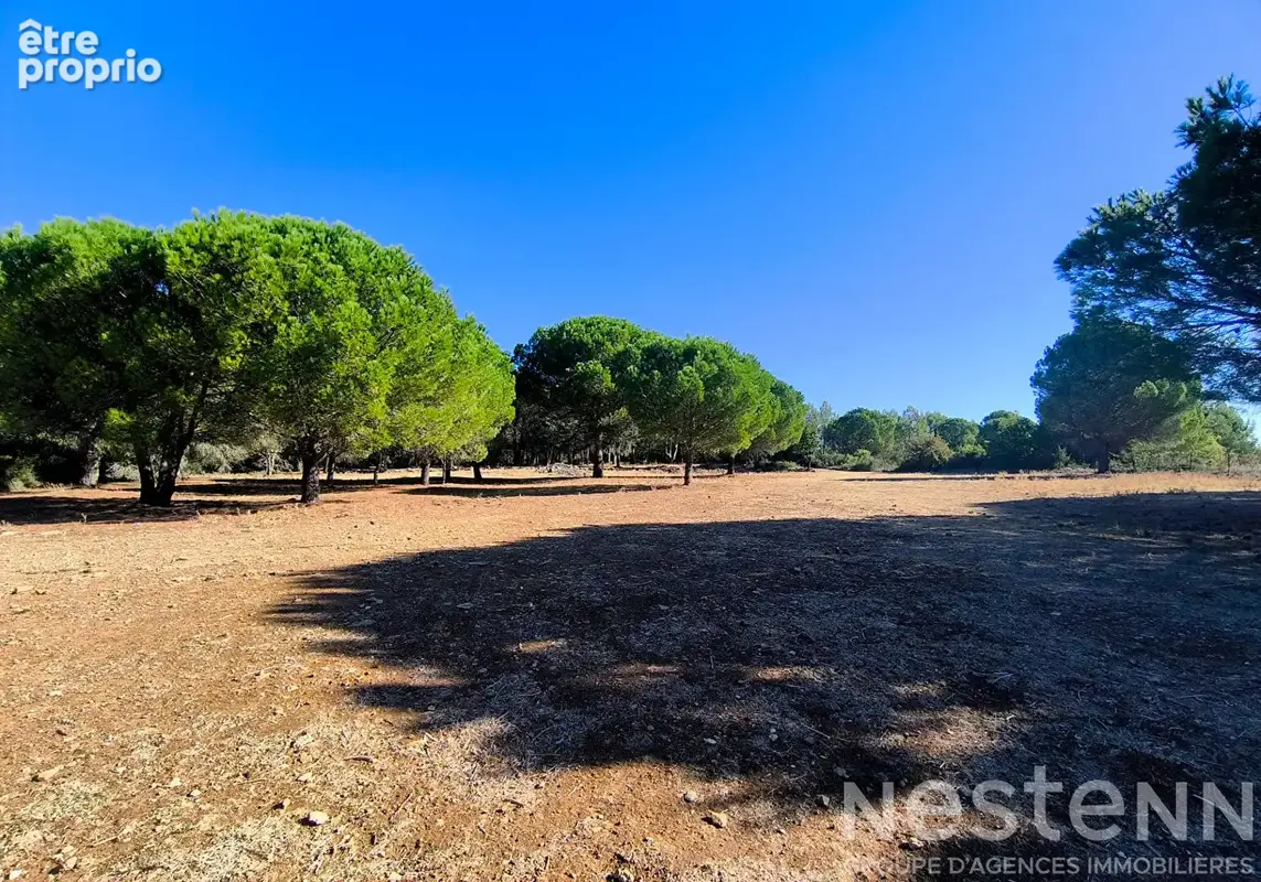 Villa de plain-pied de 158 m² avec studio, piscine et 1,5 hectare de terrain - photo 16