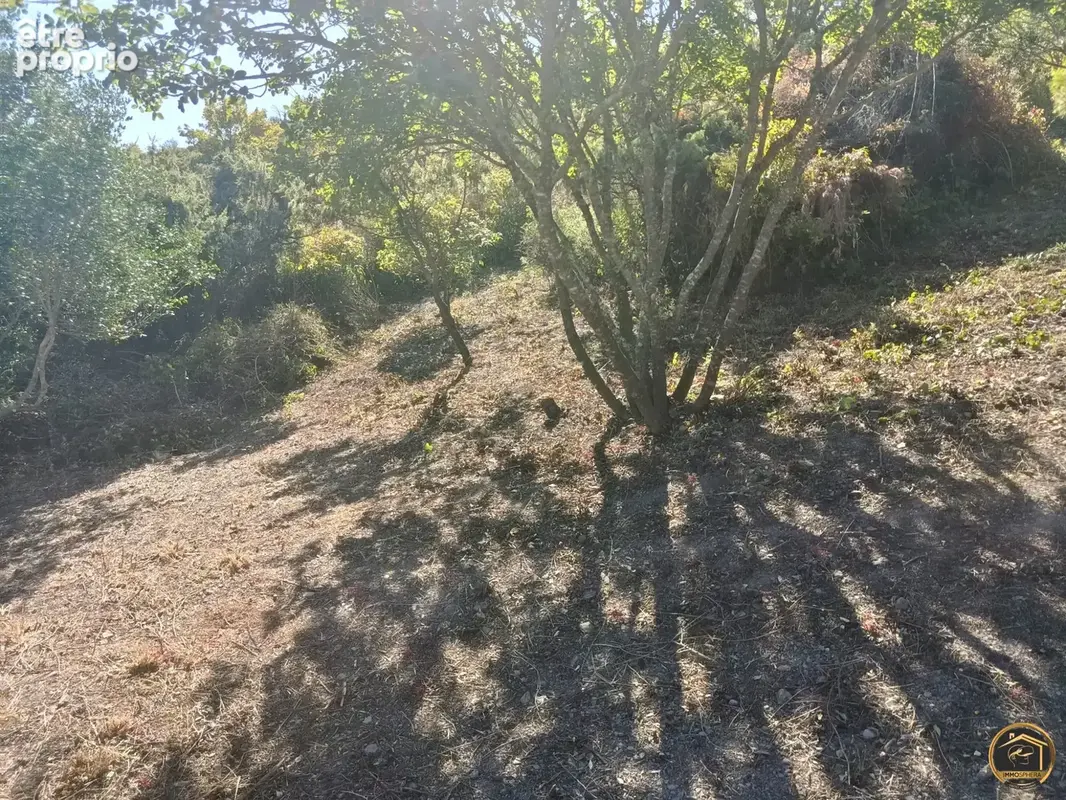 Terrain 2 038 m² à vendre à Cascastel-Des-Corbieres (11360) - photo 6