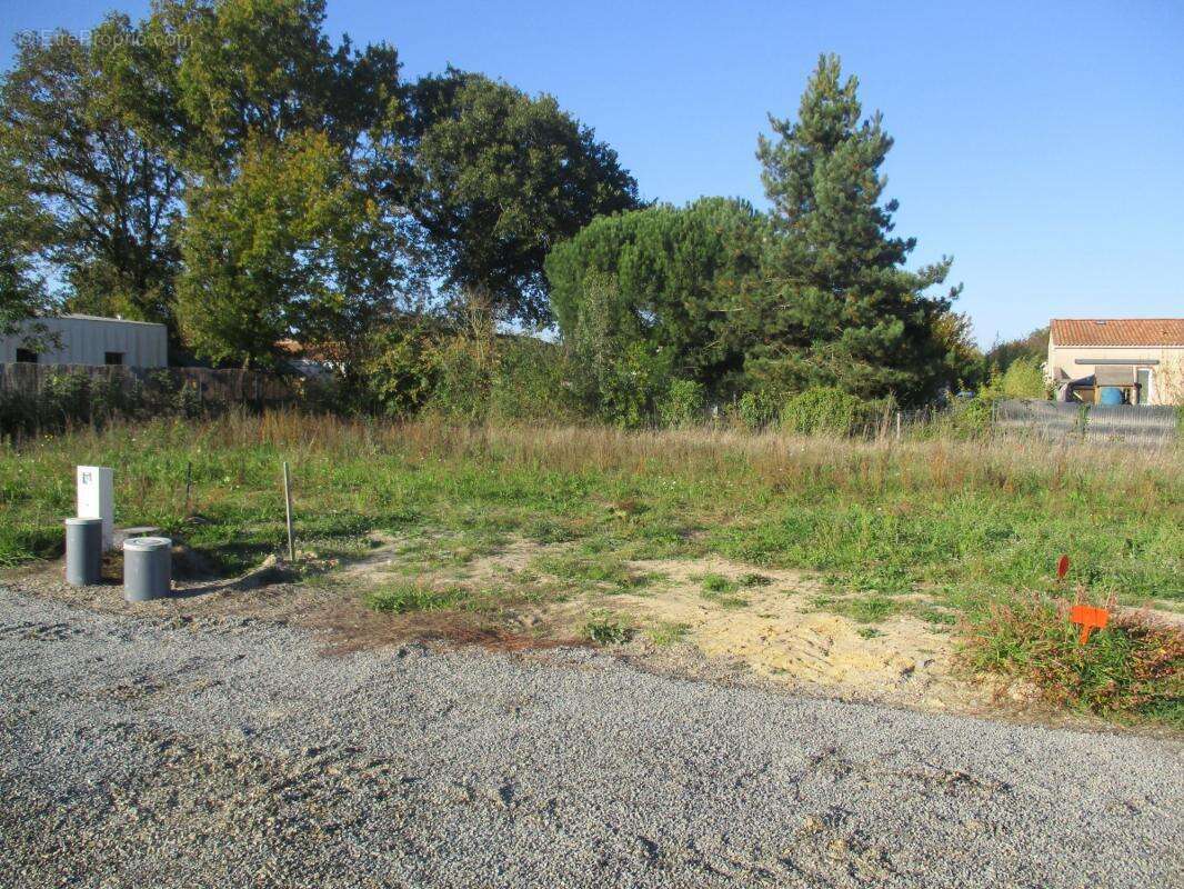 Terrain à SAINTE-FOY