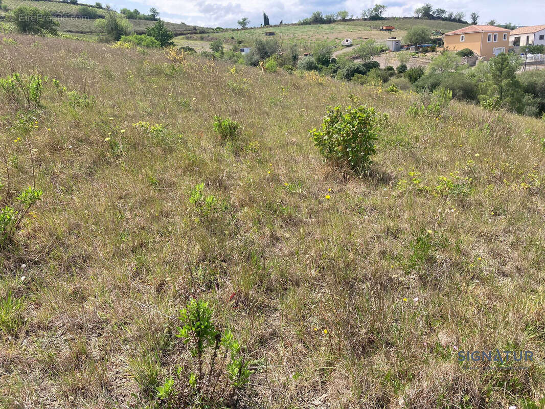 Terrain à DURBAN-CORBIERES