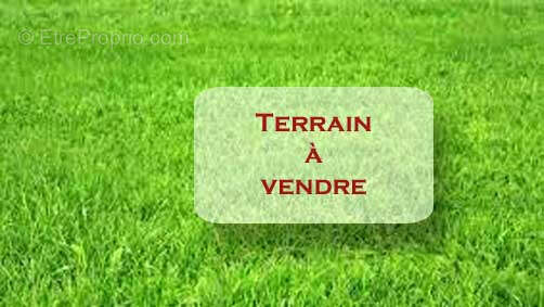 Terrain à PLESSIS-SAINT-JEAN