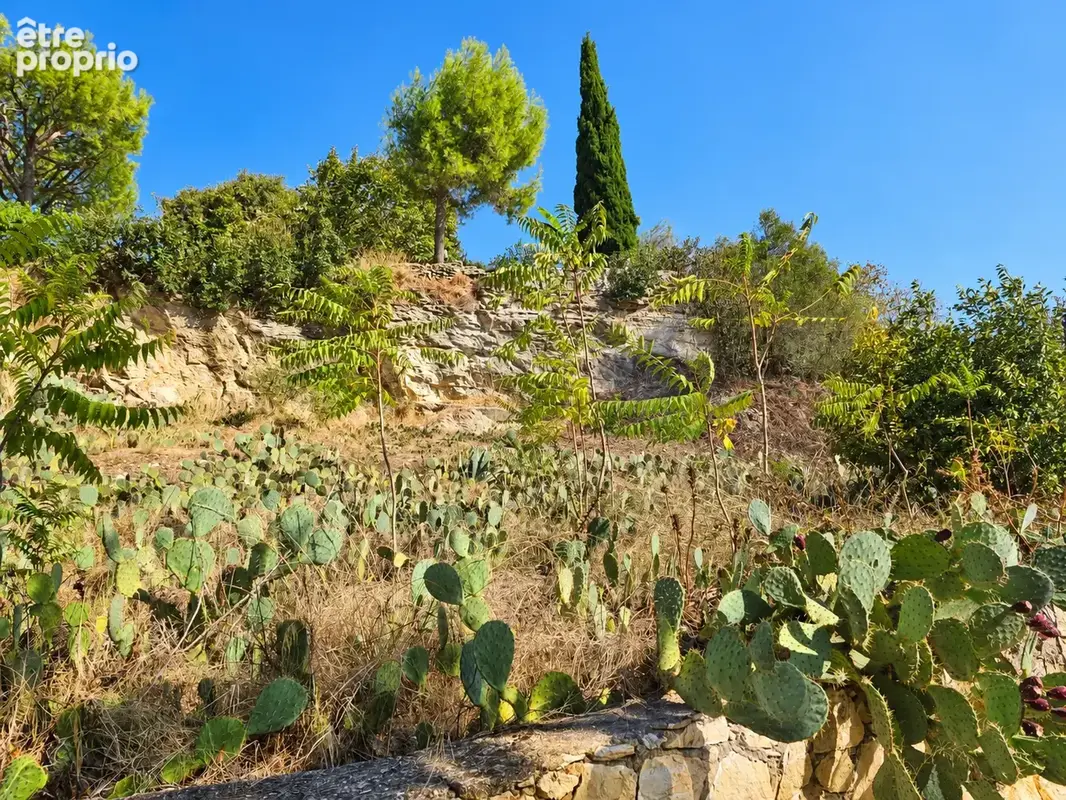Terrain constructible à vendre à Villeneuve-les-avignon - 1037m2 viabilisé - photo 2