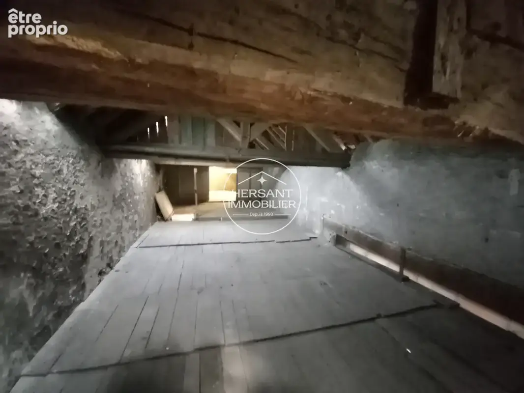 Investisseur ou grande famille ? Ensemble immobilier rare à Lailly-en-Val - photo 11