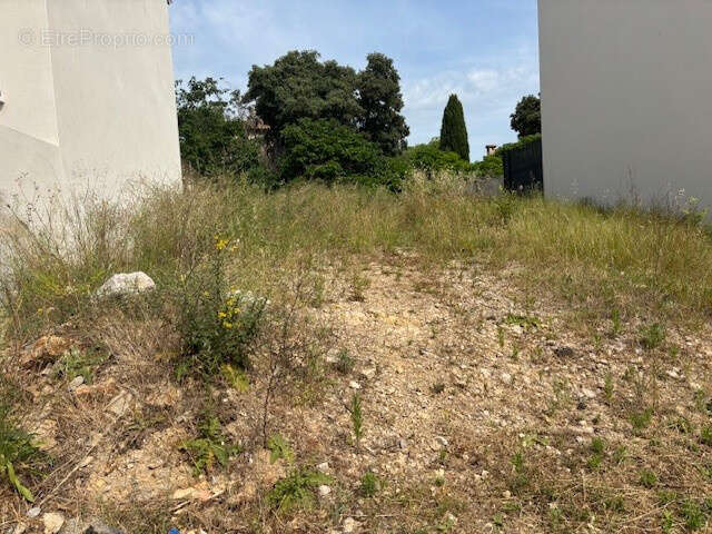 Terrain à CASTELNAU-LE-LEZ