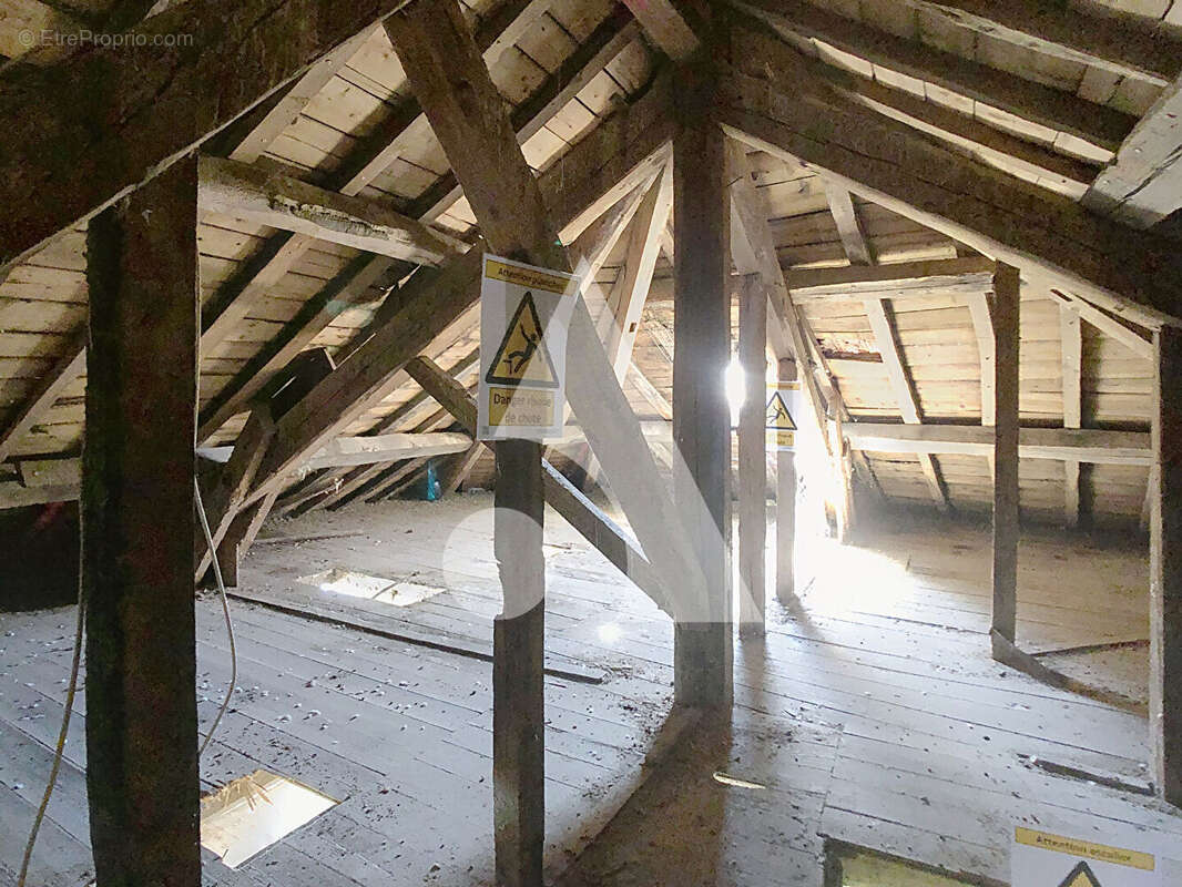 Immeuble Saint Symphorien Sur Coise 4 pièce(s) 225 m² - photo 7