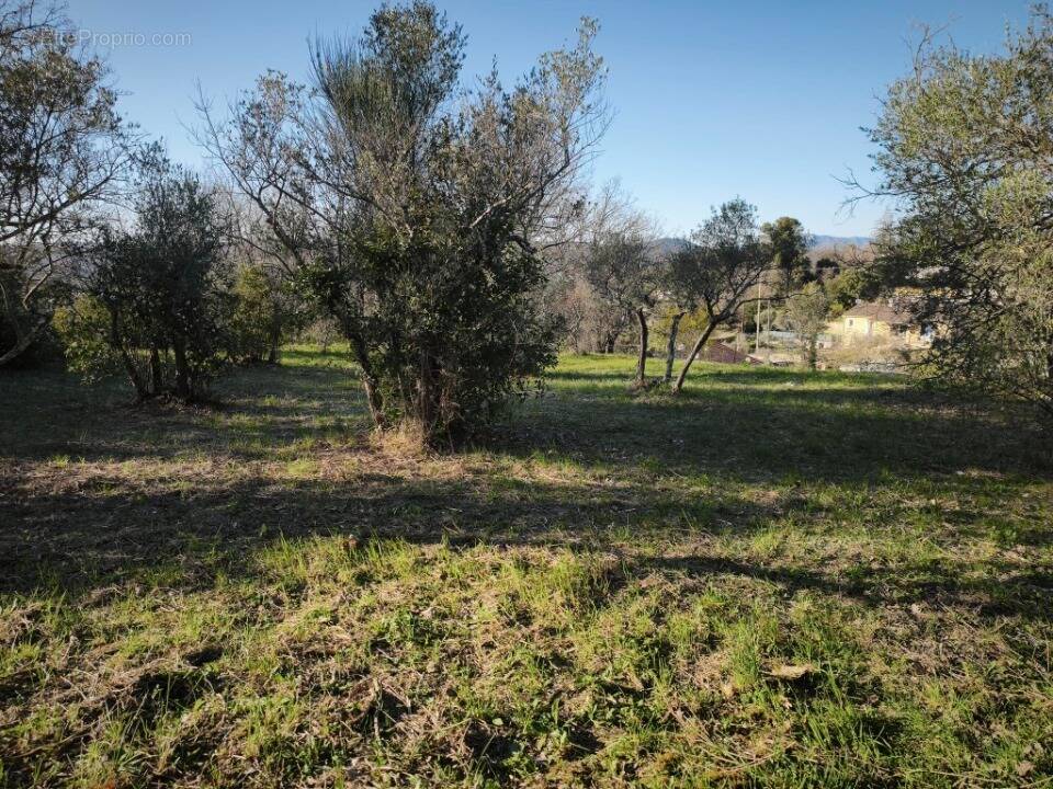 Terrain à BRIGNOLES