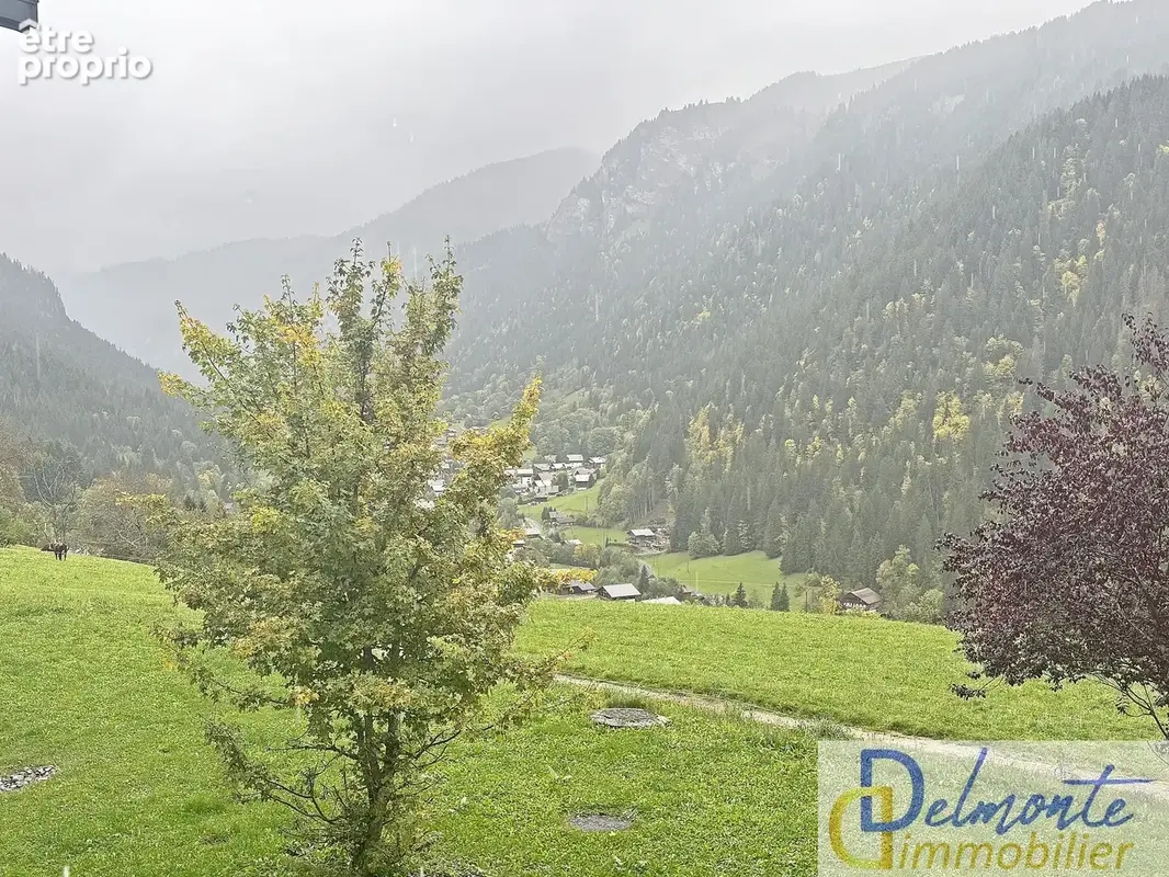A vendre - appartement t2 - chatel - photo 2