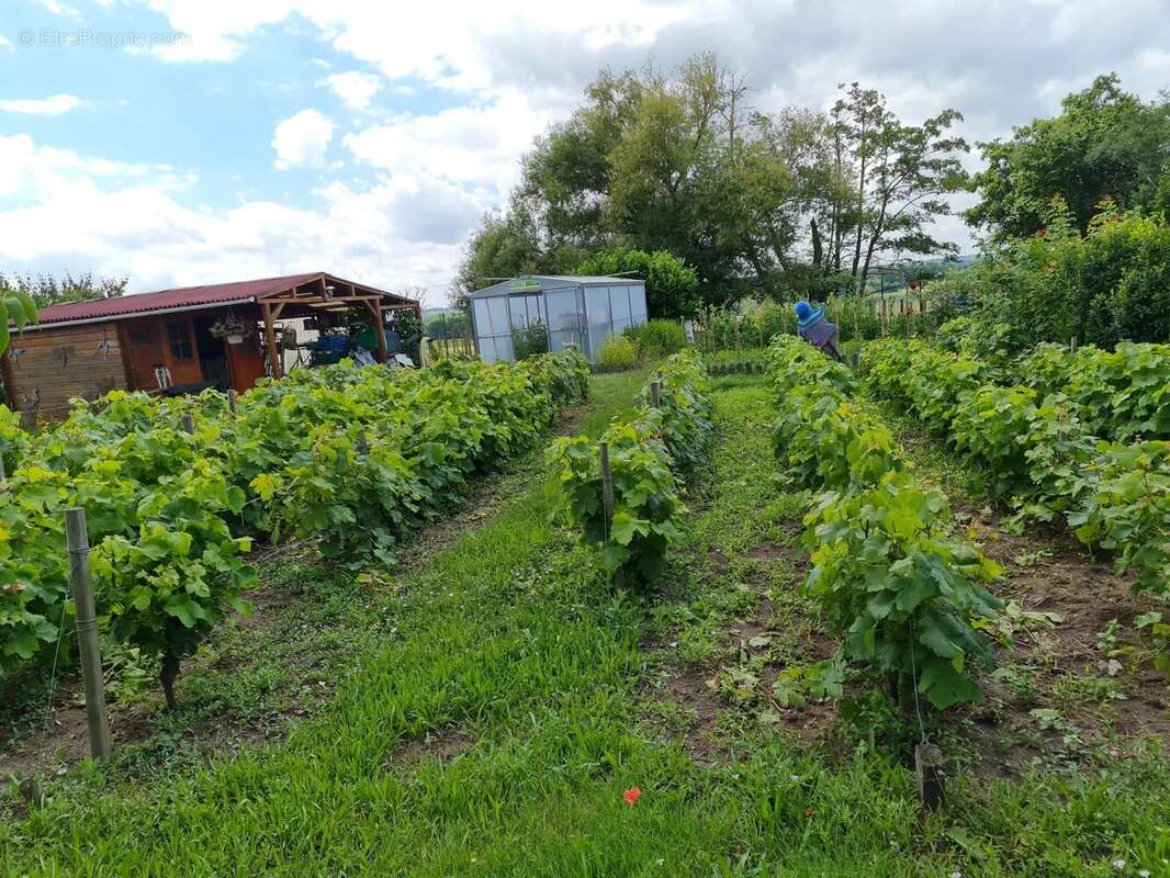 Maison à SAINT-AGNAN