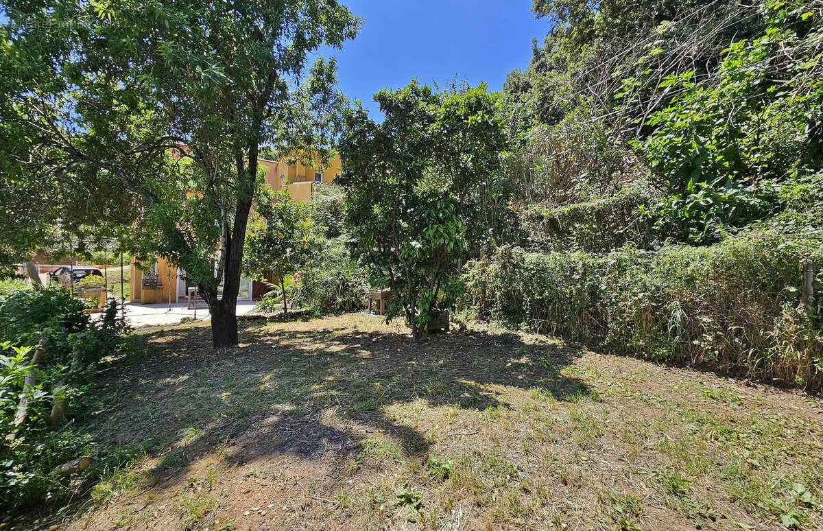 Appartement à PIETROSELLA