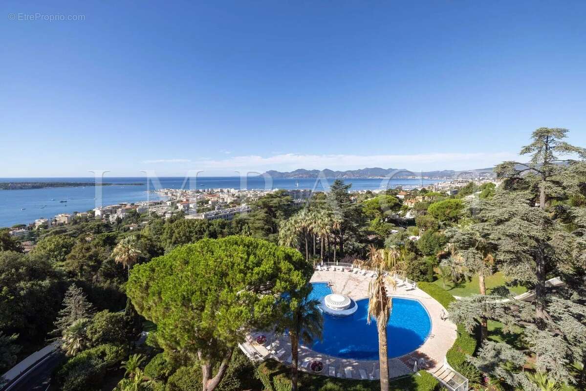 Cannes Californie, Magnifique 4p rénové avec vue mer panoramique  à vendre - photo 20
