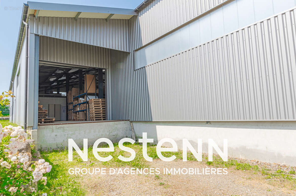 Commerce à PAMPELONNE