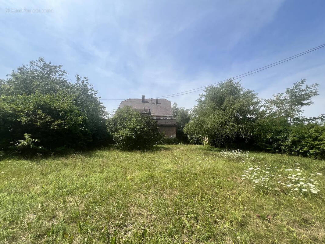 Terrain à BOUXWILLER