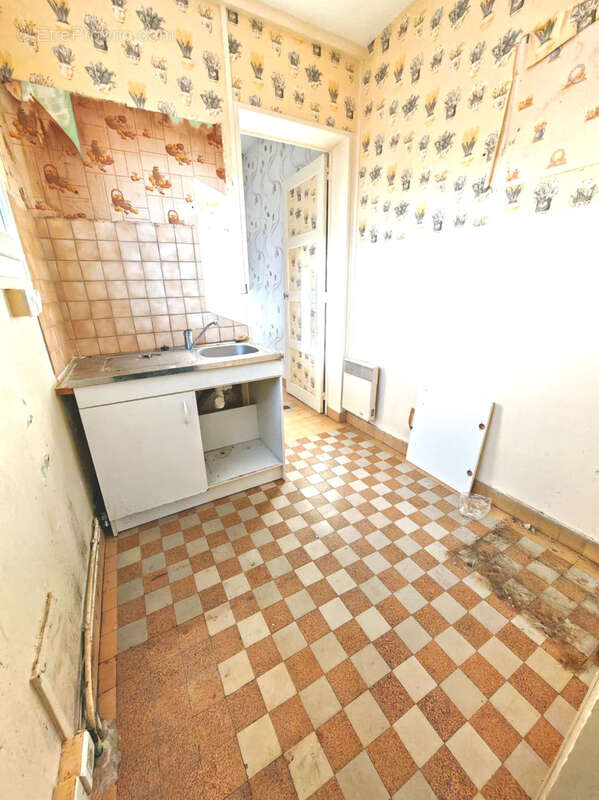 Maison à SAINT-SAUFLIEU