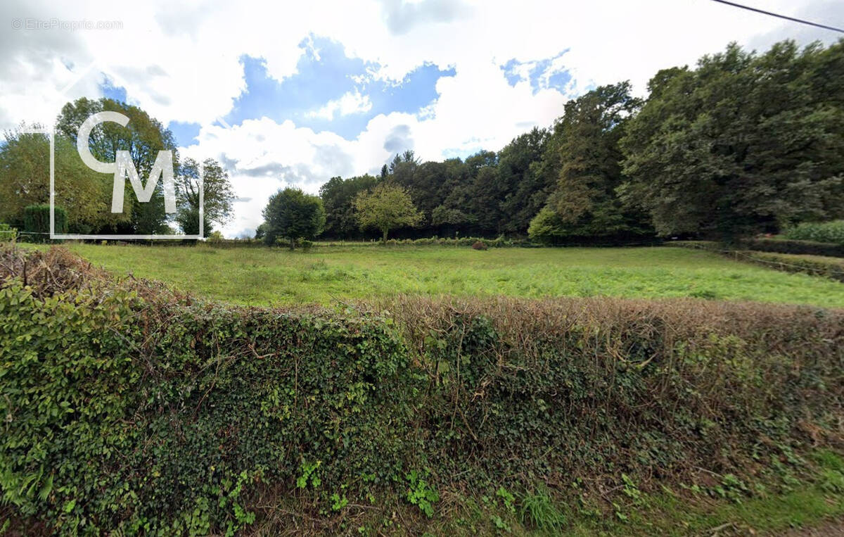 Terrain à SAINT-JAL