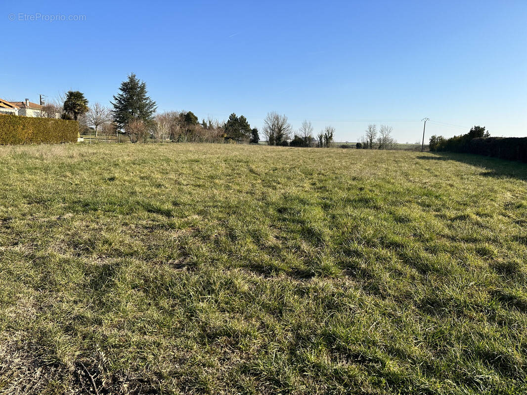 Terrain à MORTAGNE-SUR-GIRONDE