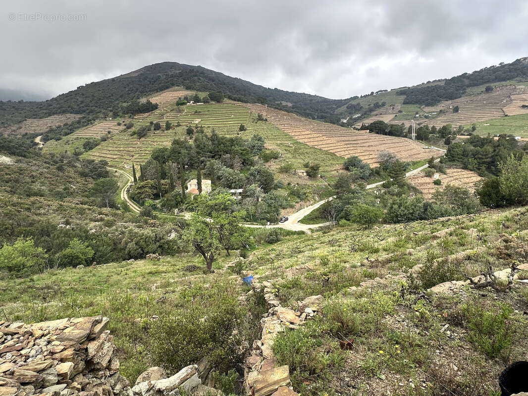 Terrain à PORT-VENDRES