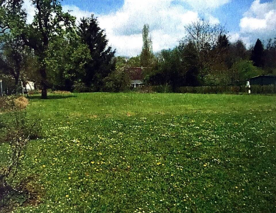 Terrain à MONTIERAMEY