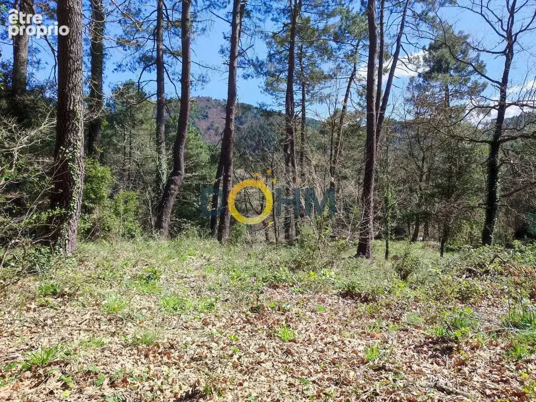 Terrain boisé calme et isolé constructible environ 1500 m2 à 20 minutes d'Alès 55 000 € - photo 2