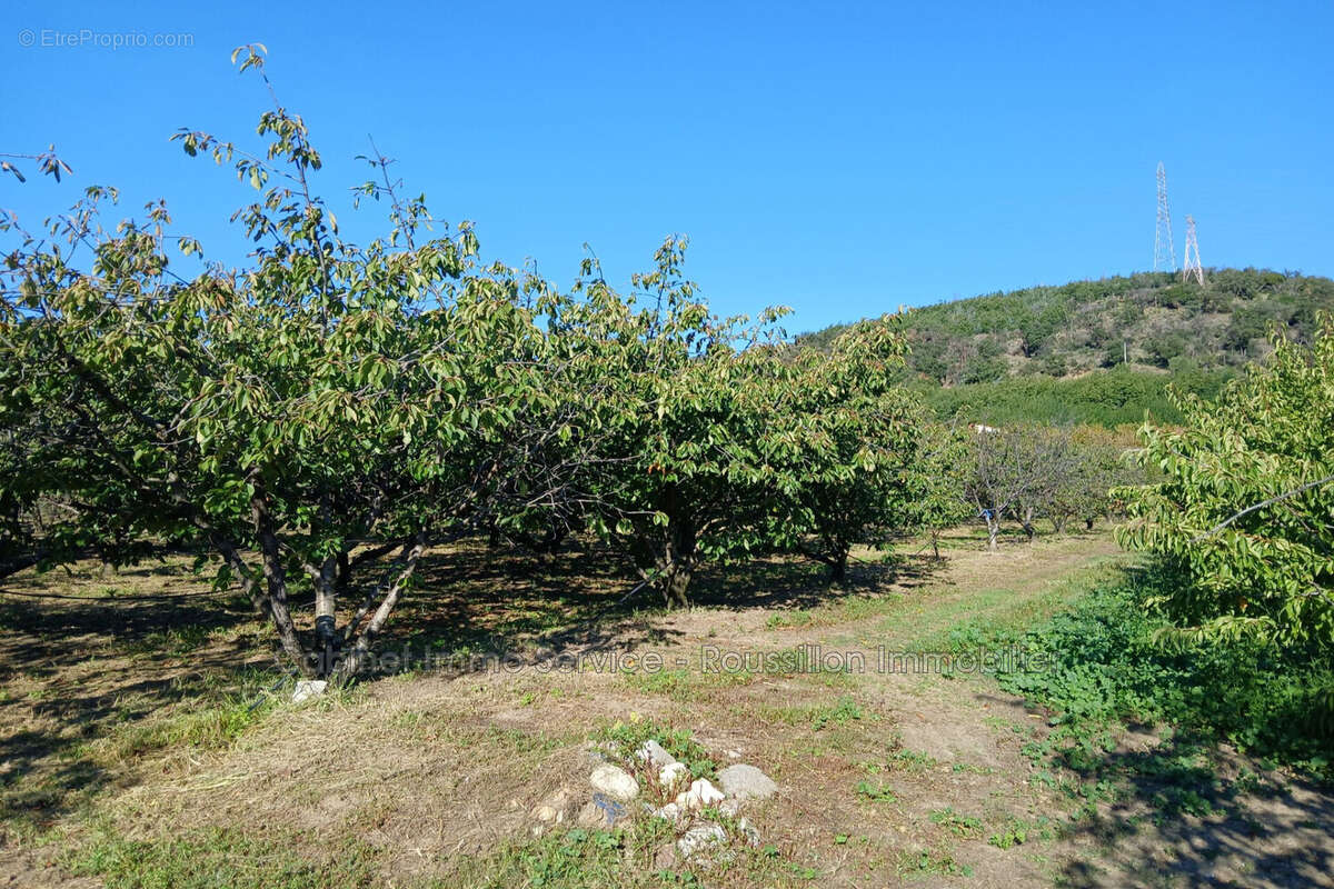 Terrain à CERET