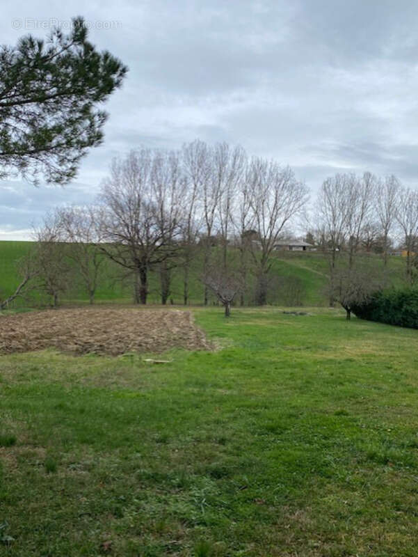 Maison à vendre 7 pièces LEMPAUT (81) - photo 23