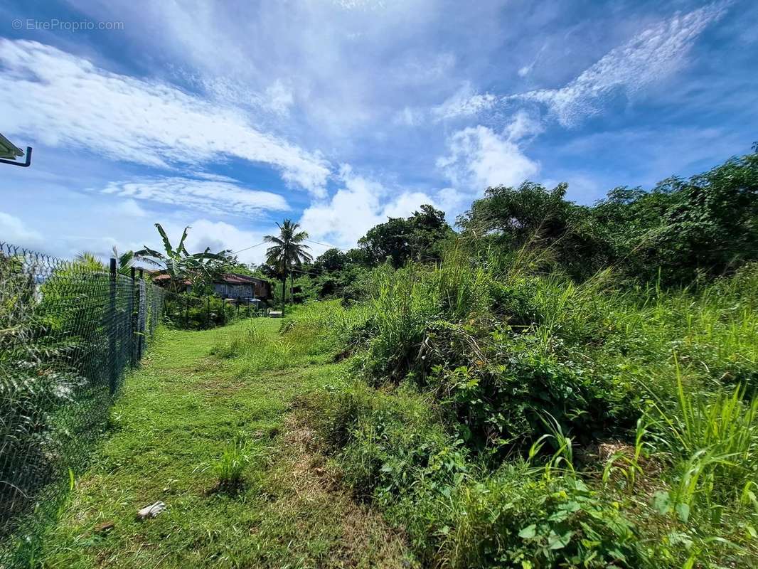 Terrain à LES TROIS-ILETS