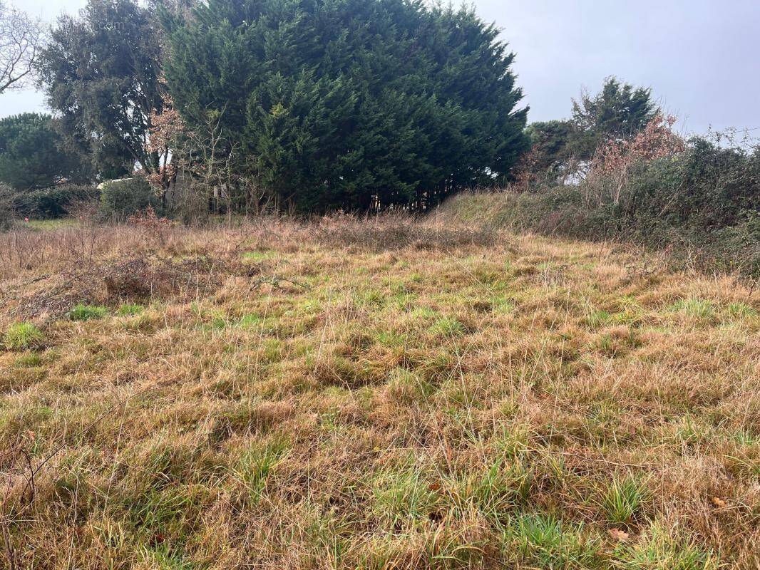 Terrain à TALMONT-SAINT-HILAIRE