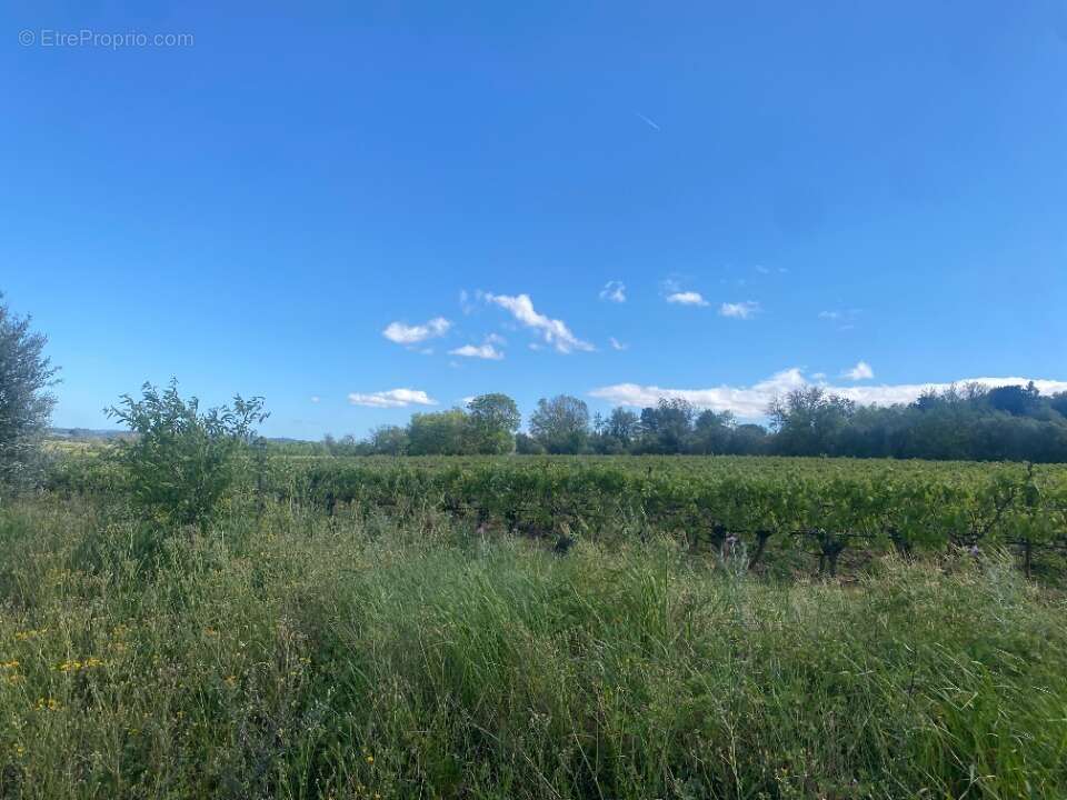 Terrain 690 m² à Ginestas  - photo 2