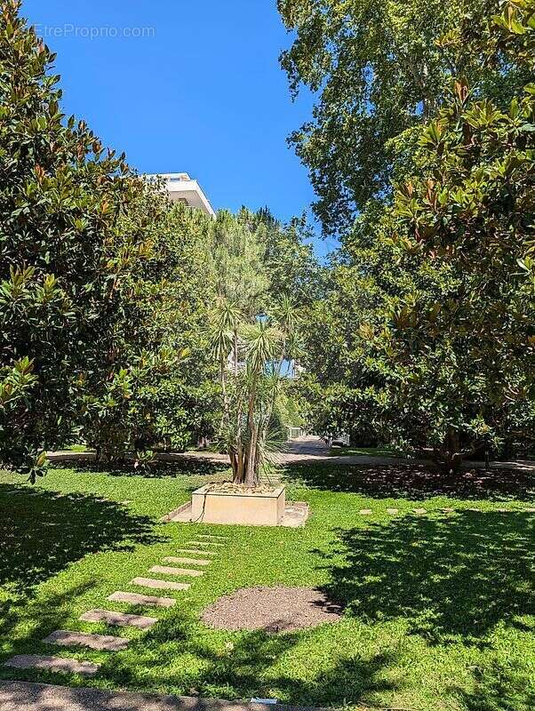 Commerce à MARSEILLE-8E