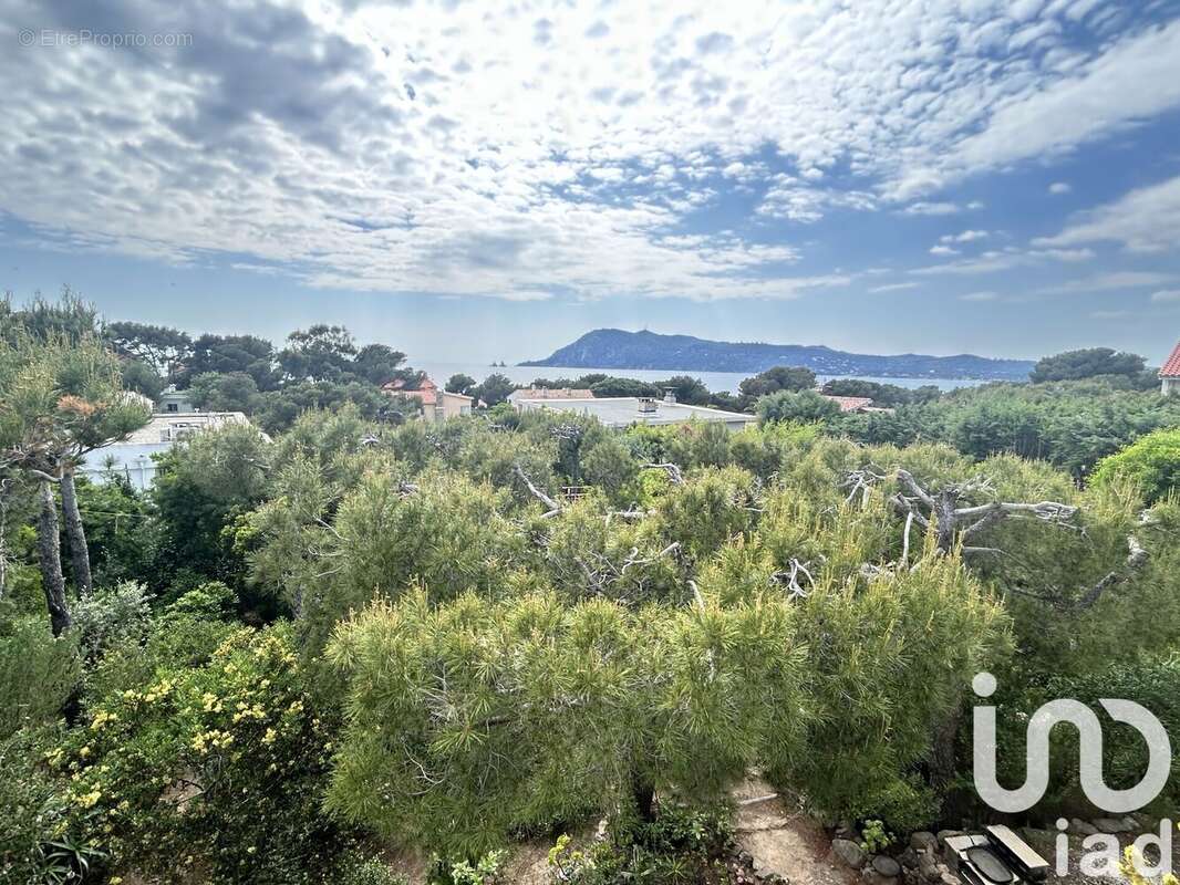 Photo 3 - Maison à SAINT-MANDRIER-SUR-MER