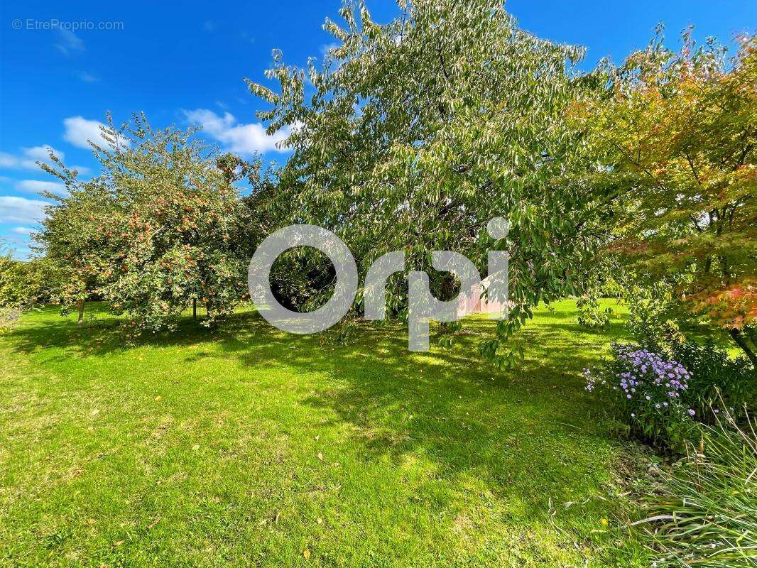 Maison à ORVAUX