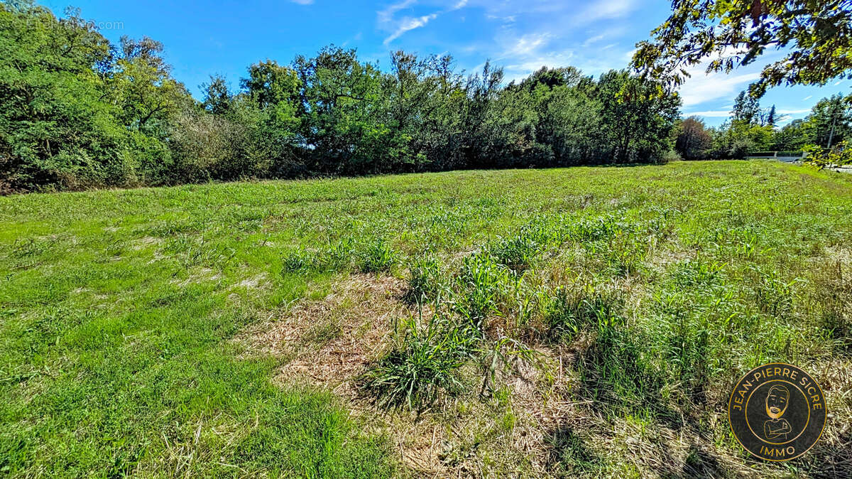 Magnifique terrain de 18 331 m2  dont  2 860 m2 constructibles - photo 4