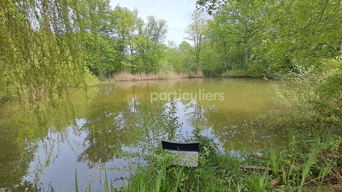 Terrain à CHEVILLON-SUR-HUILLARD