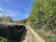 Terrain à MARQUIXANES