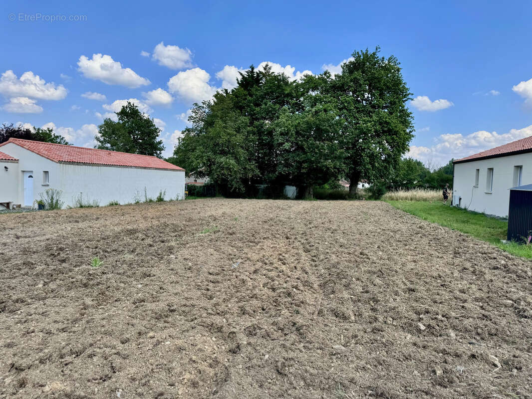 Terrain à LA LIMOUZINIERE