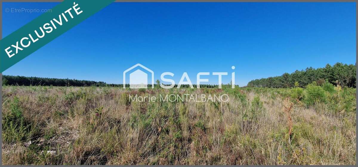 Photo 3 - Terrain à SANGUINET