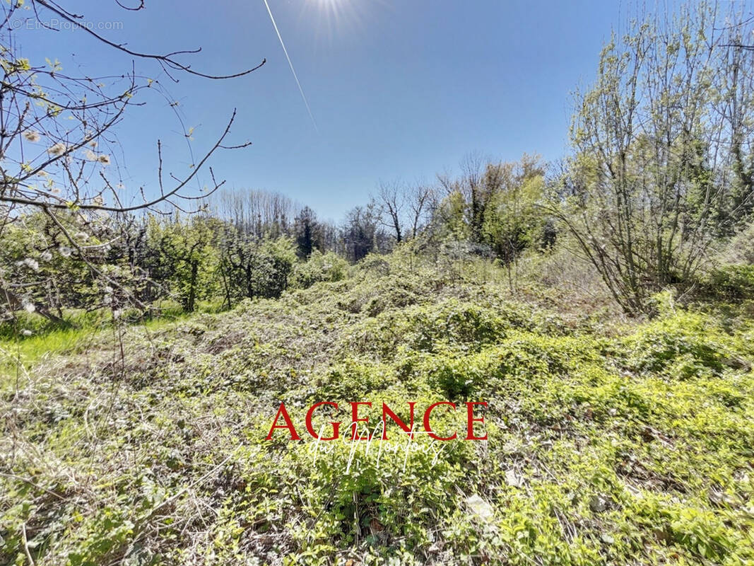 Terrain à BRAY-SUR-SEINE