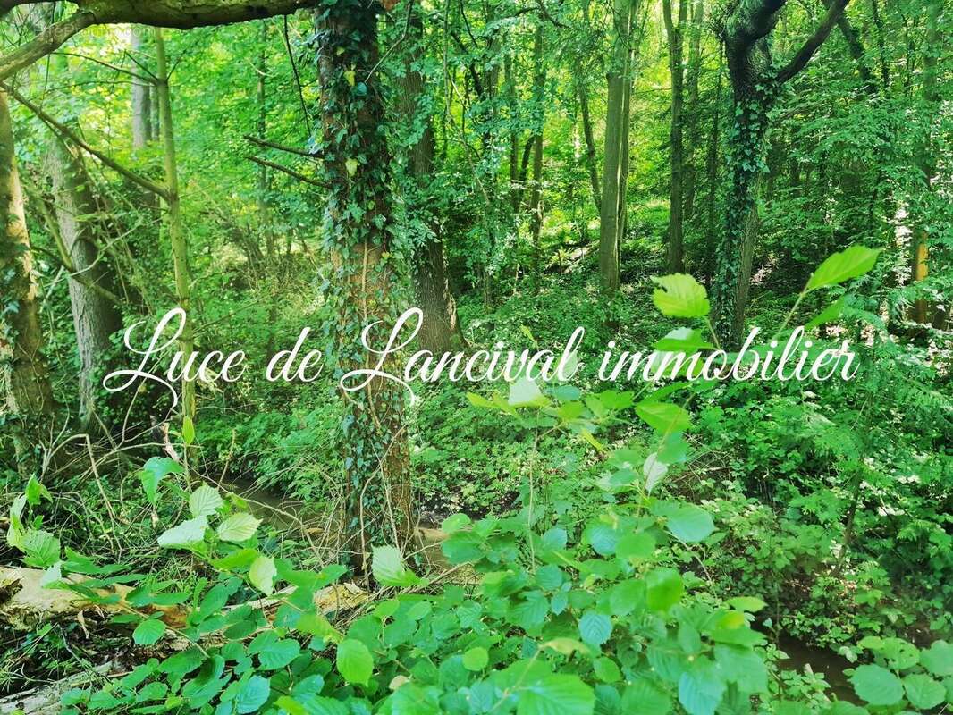 Photo 3 - Terrain à SAINT-GOBAIN