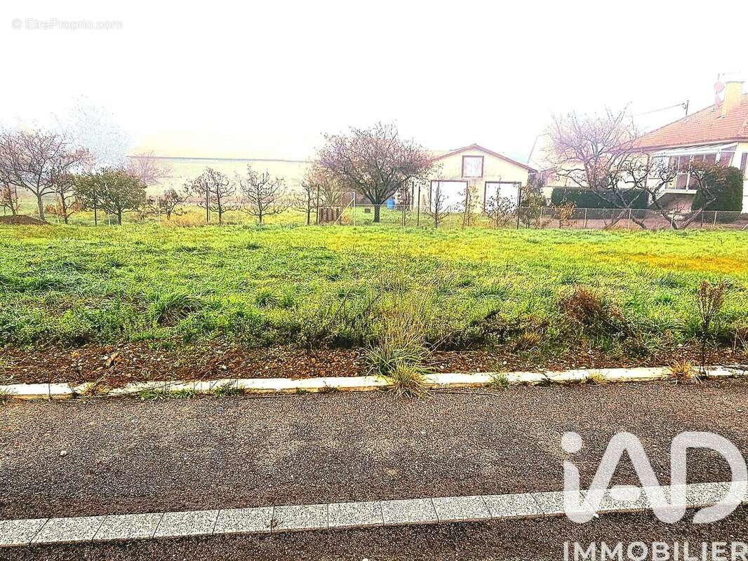 Photo 2 - Terrain à OBERHERGHEIM