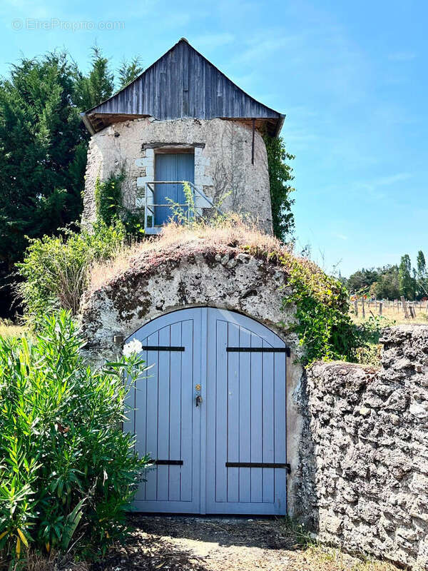 Propriété  avec moulin,  Charme et potentiel exceptionnel - photo 2