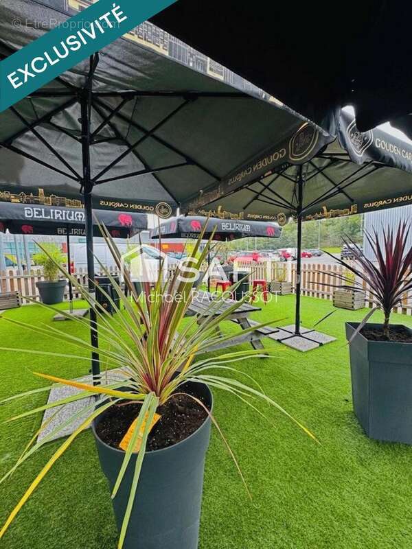 Photo 6 - Commerce à TORCY