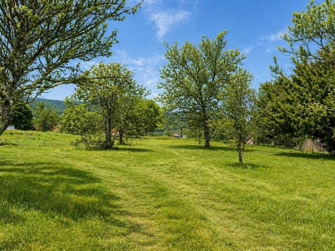 Terrain à MENSIGNAC