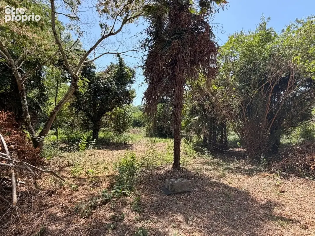 PLAISANCE du GERS proche(32): ANCIENNE PROPRIETE BOURGEOISE avec dépendances, bois, petit etang, 2 hectares,CALME, sans vis à vi - photo 23