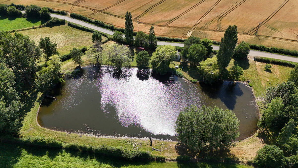 Terrain à SAINT-LAURENT-DE-LA-SALLE