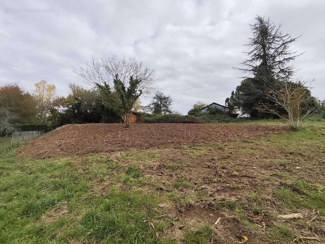 Terrain à SAINT-CLAUD