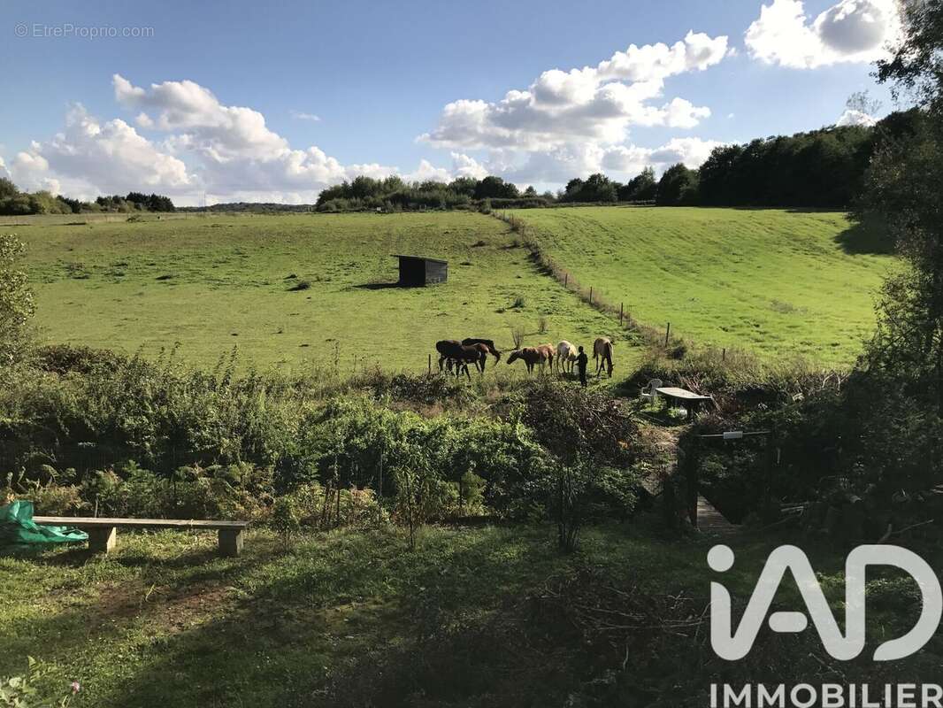 Photo 7 - Terrain à SAULX-LES-CHARTREUX