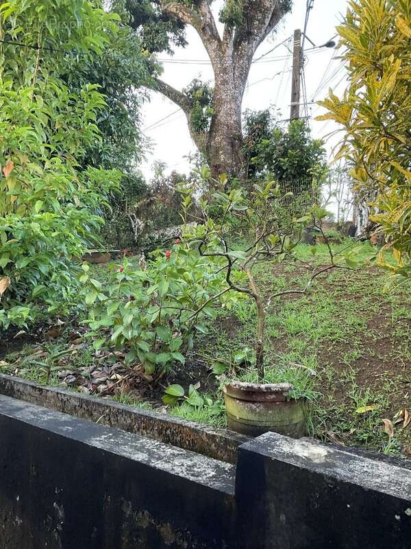 Maison à FORT-DE-FRANCE