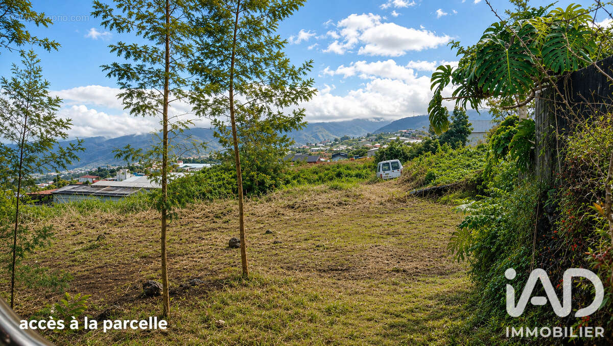 Terrain 546 m² à Saint-Pierre  - photo 3