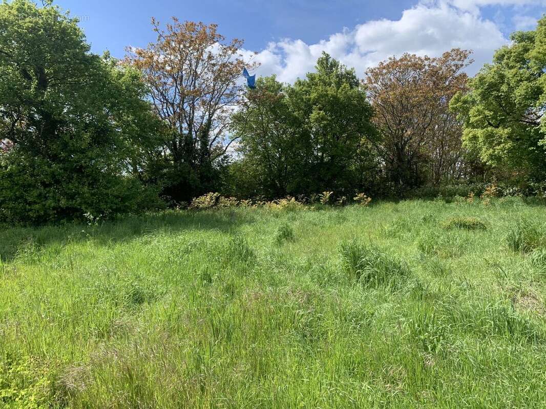 Terrain à FERRIERES